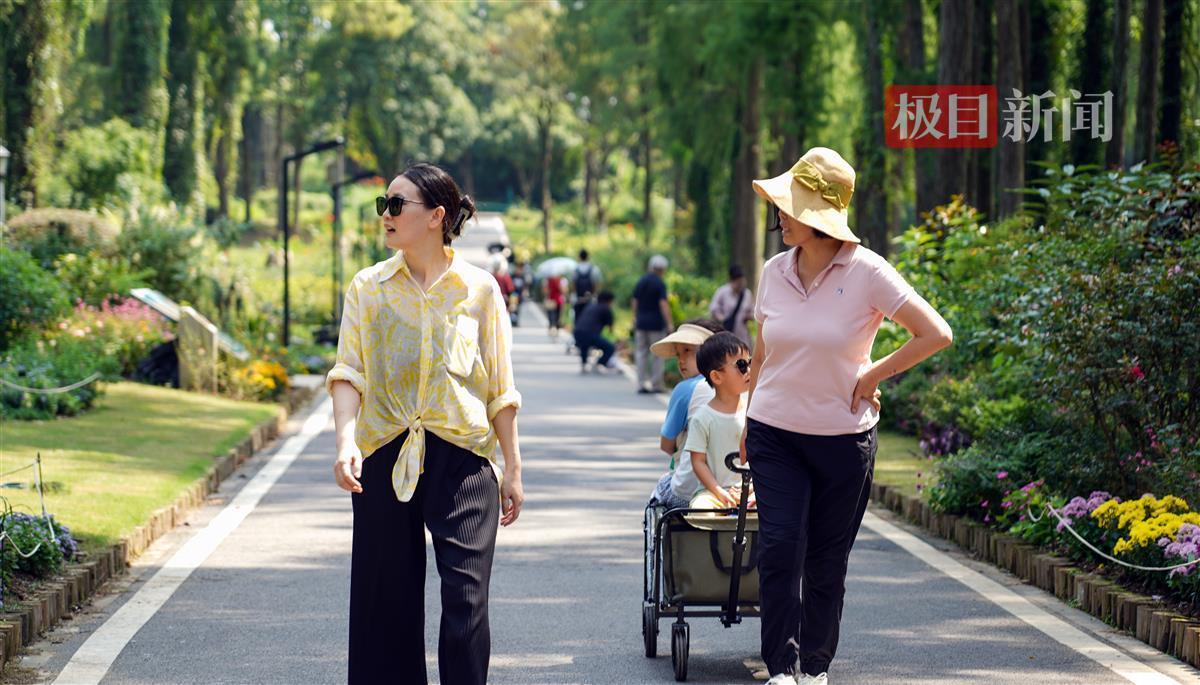 东森游戏平台